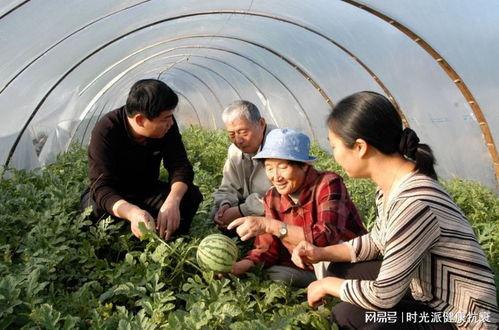 海门老太吃瓜事件视频大全,视频回顾与热议