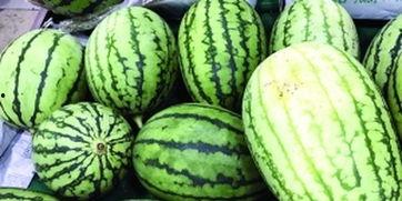 意大利围观吃瓜视频在线观看,全民围观，笑料百出