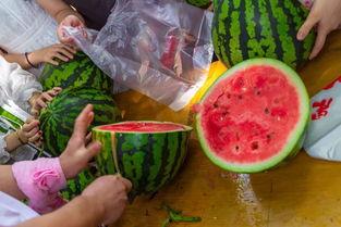 有名的吃瓜视频,揭秘网红吃瓜视频背后的惊人真相