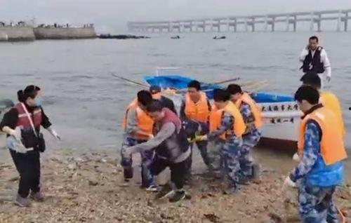 大连海事吃瓜事件视频,一场校园风波的网络发酵与反思