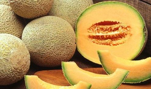 哈哥吃哈密瓜视频大全,视频大全带你领略甜蜜滋味