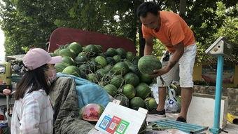 最便宜的吃瓜视频,揭秘全网最便宜的视频平台