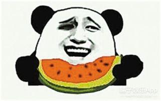 吃瓜群众小朋哥视频大全