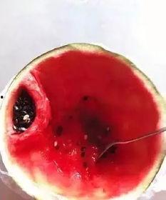 战斗民族吃瓜的视频,一场视觉与味蕾的双重盛宴