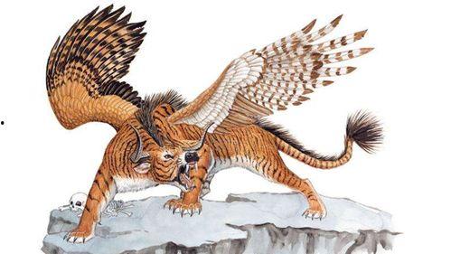 神兽回笼吃瓜视频大全集,瓜田奇遇记视频大全集