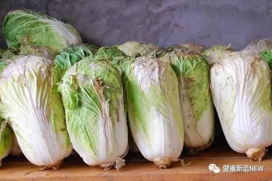 守瓜虫会吃白菜吗视频,揭秘昆虫的饮食习惯