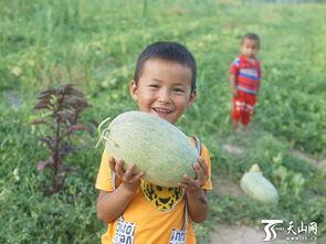 吵架吃瓜群众小孩视频真实,一场“吃瓜群众”的童年见证