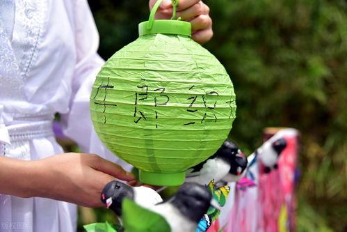 七夕节吃瓜现场视频大全,现场视频大盘点