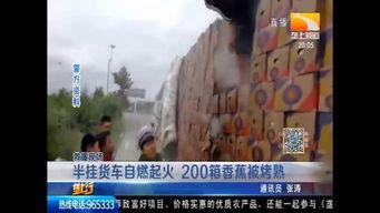 版纳吃瓜事件真相揭秘视频